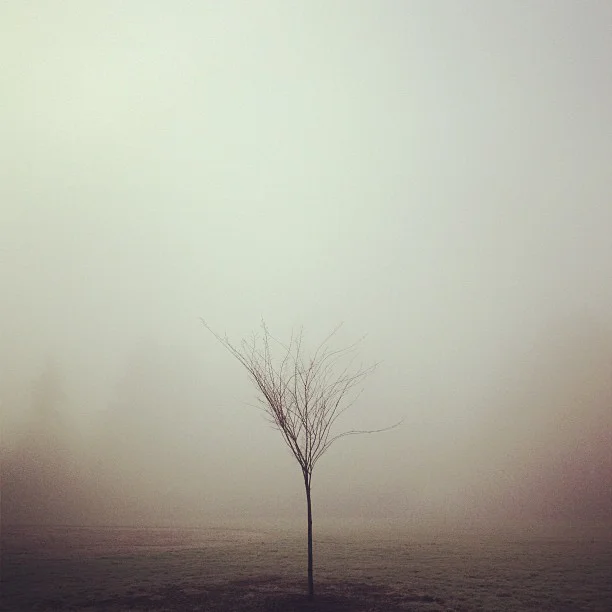 PDX_9.jpg