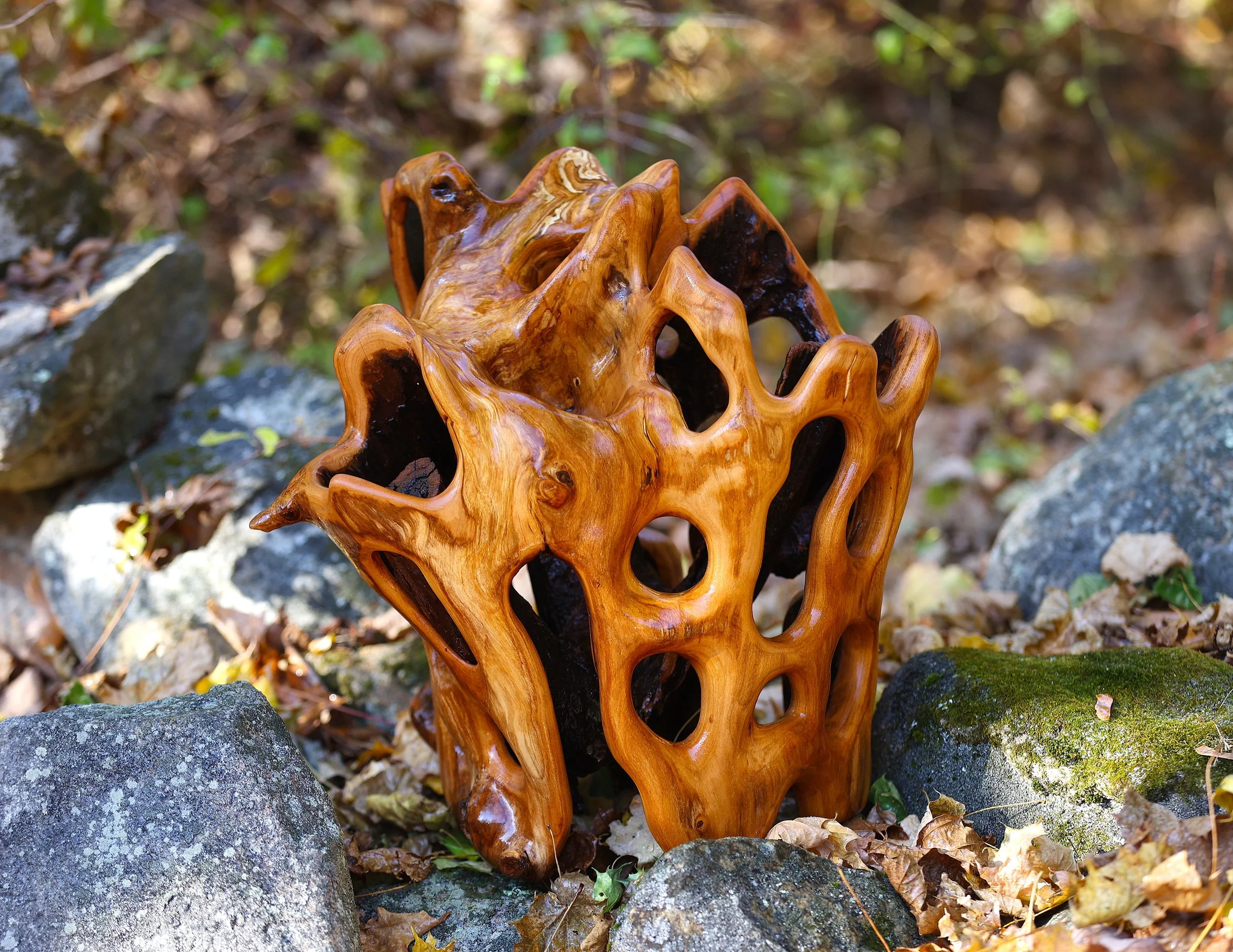 Karen's Cherry 2 (Copy)