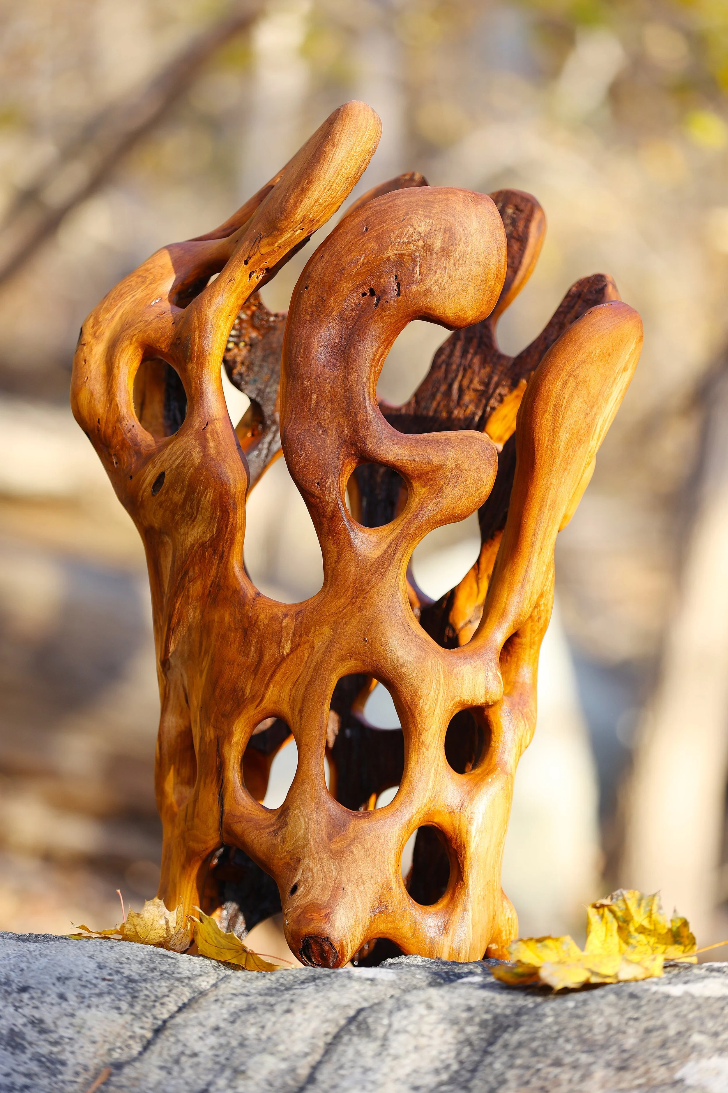 Karen's Cherry 1 (Copy)