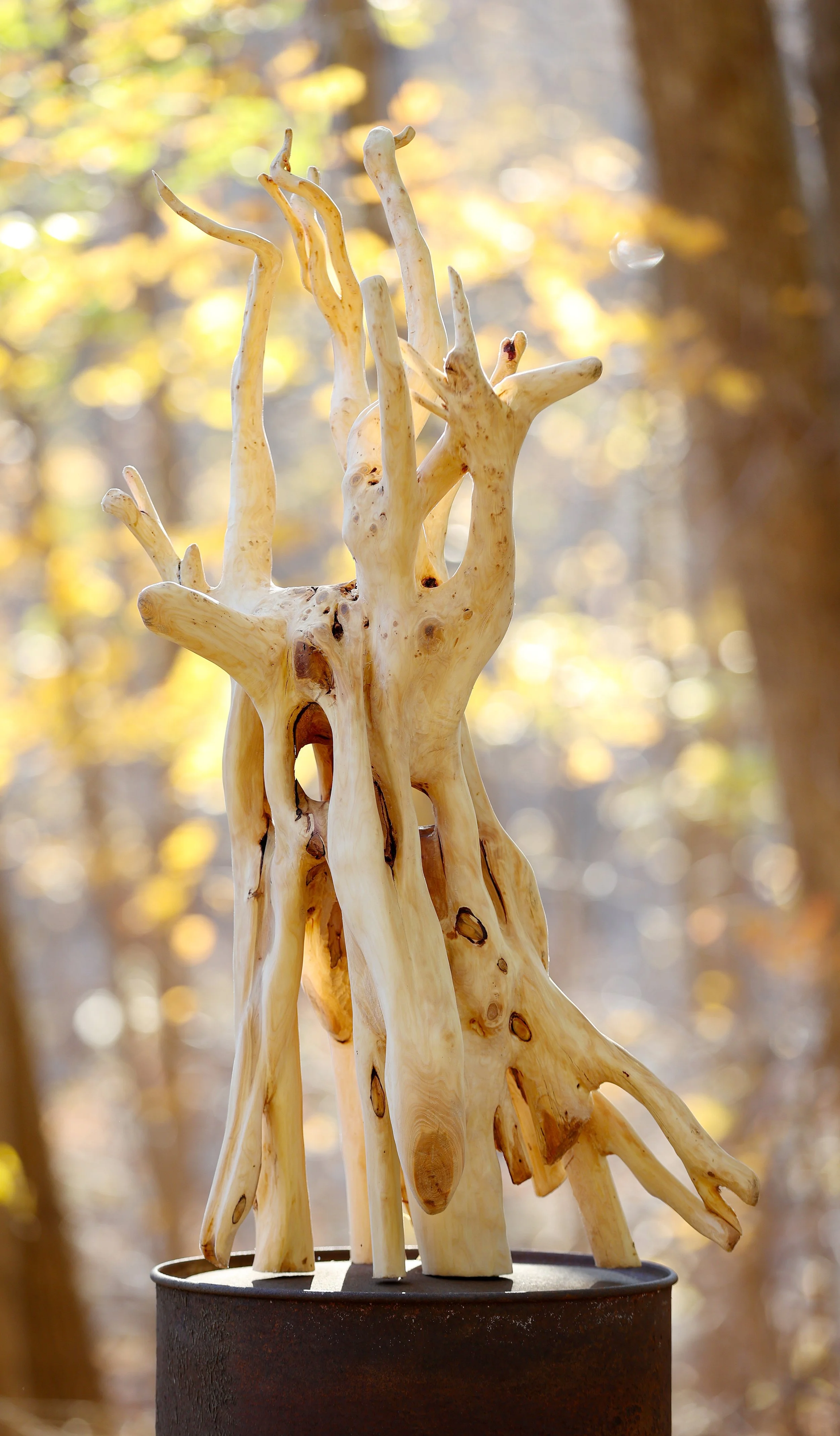 Solitary Dancer (Copy)