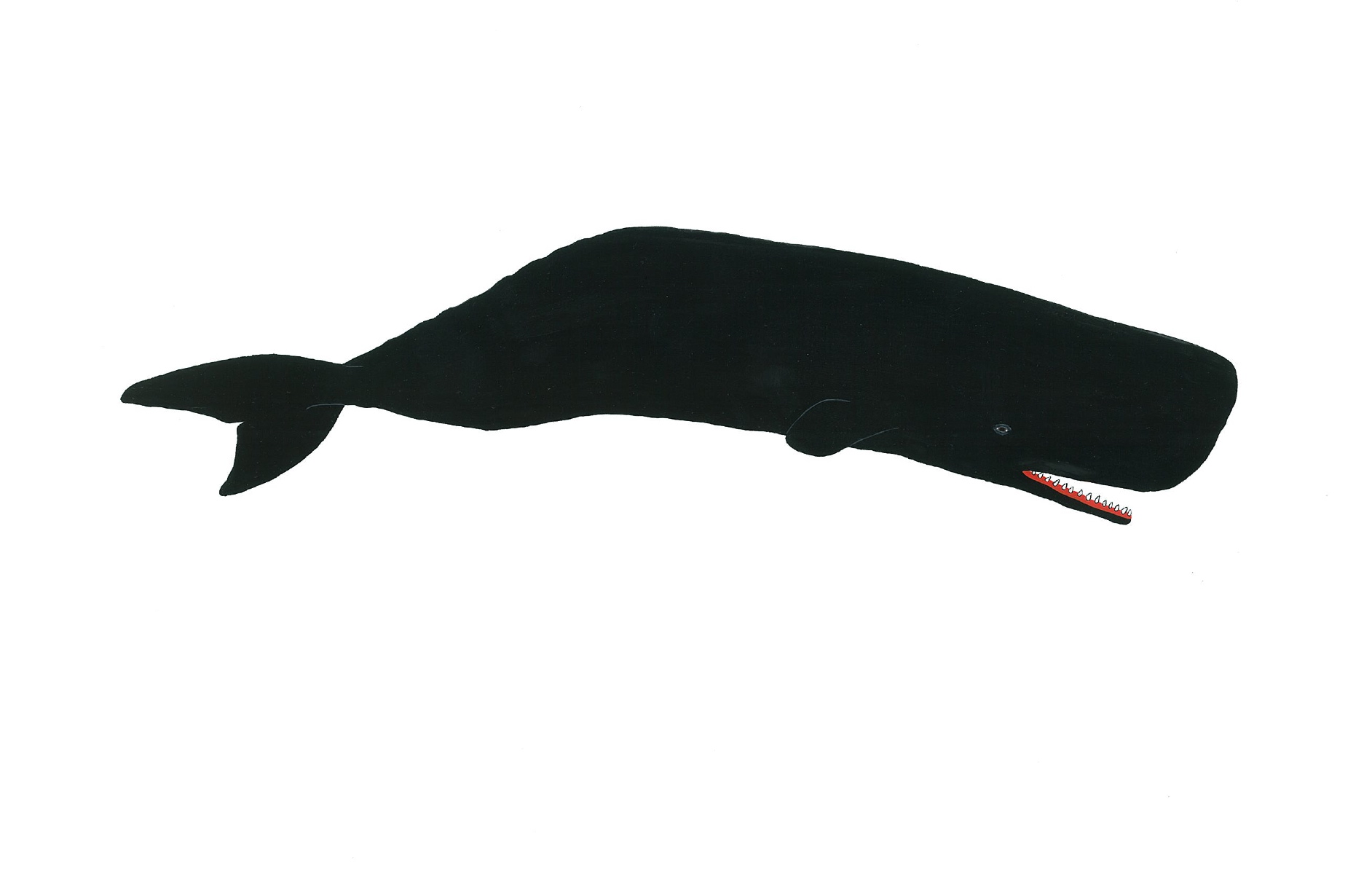 Sperm Whale 2014. Gouache. SOLD