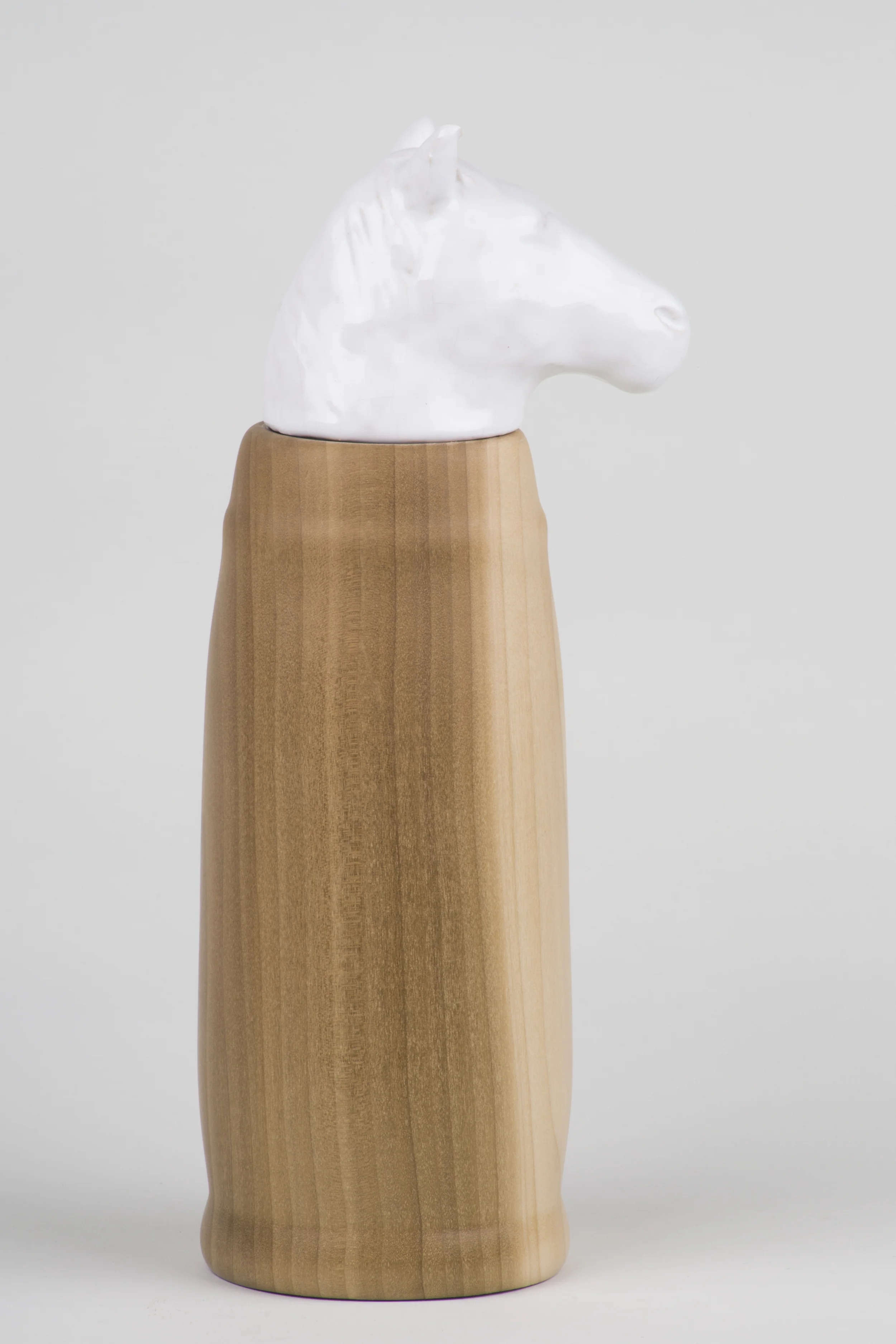 horse5.jpg