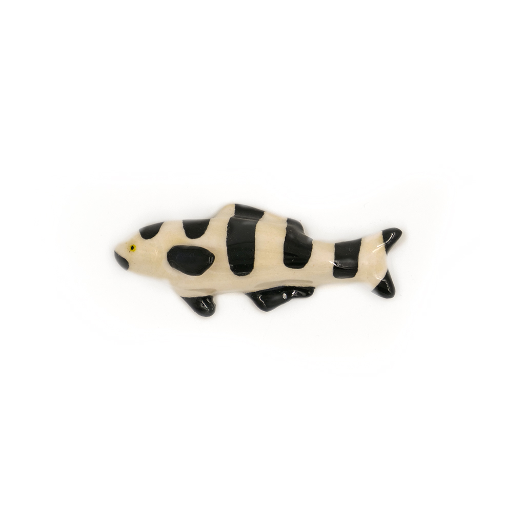 Tiny B&W Fish.jpg