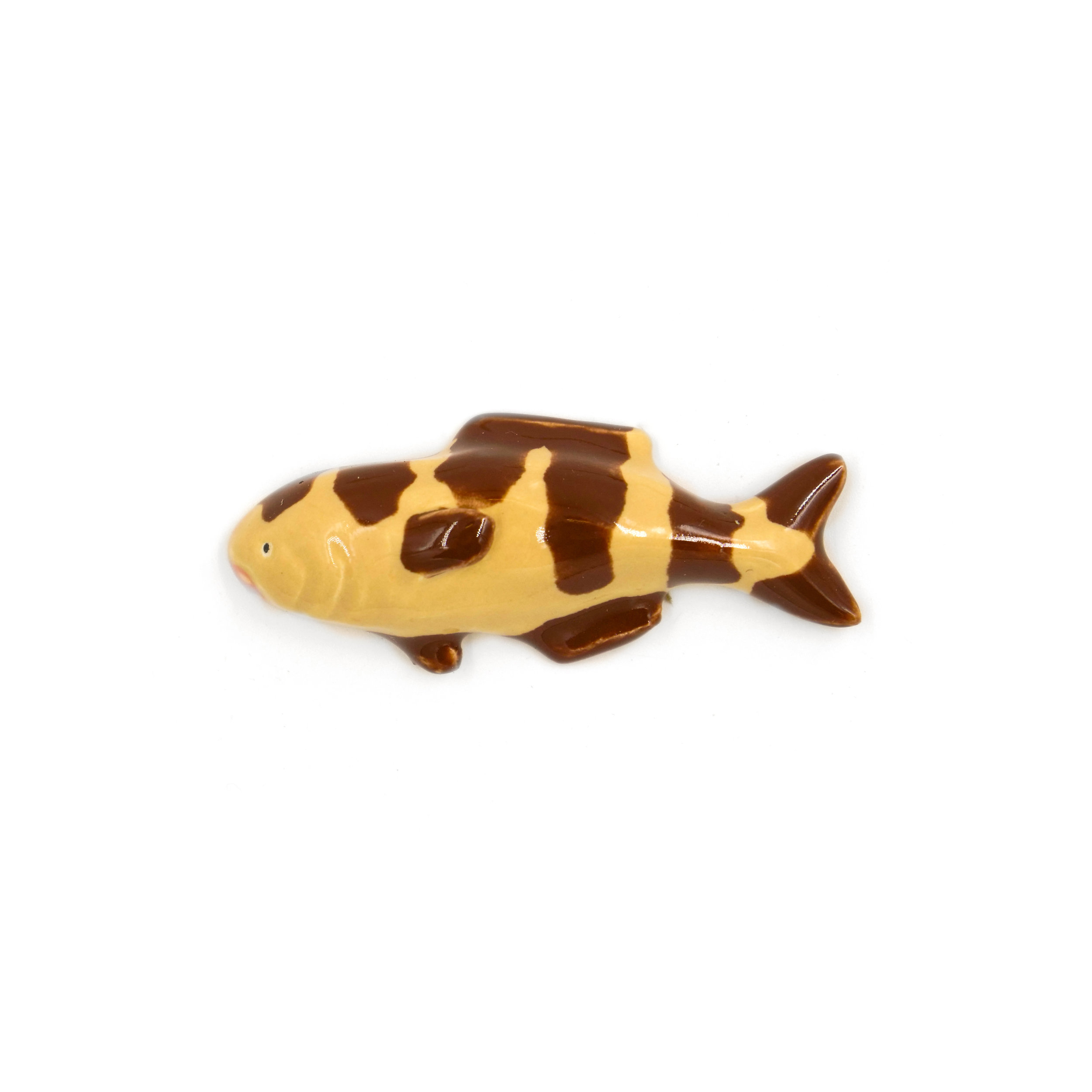 Tiny Brown Striped Fish.jpg