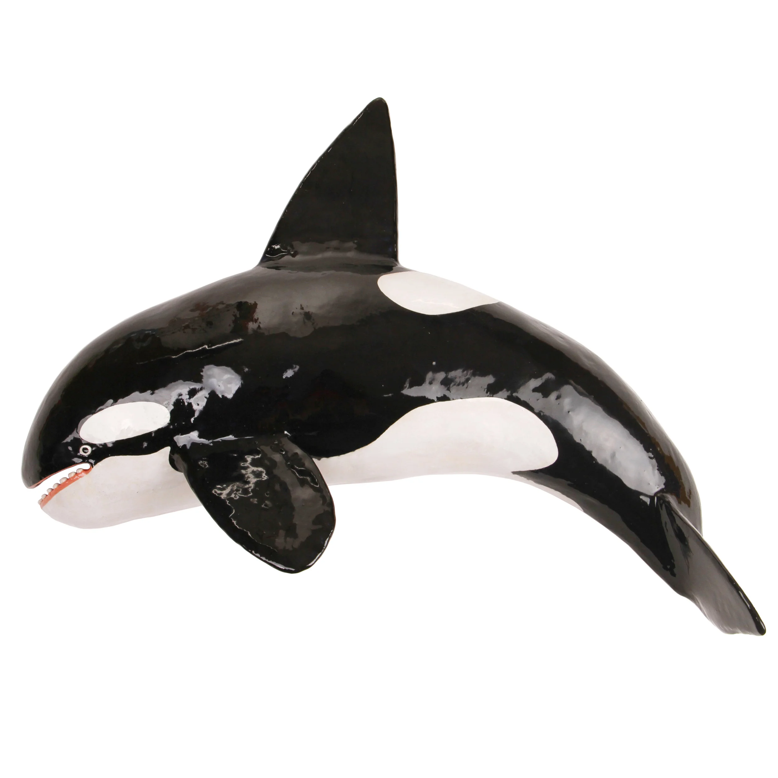 22_orca.jpg