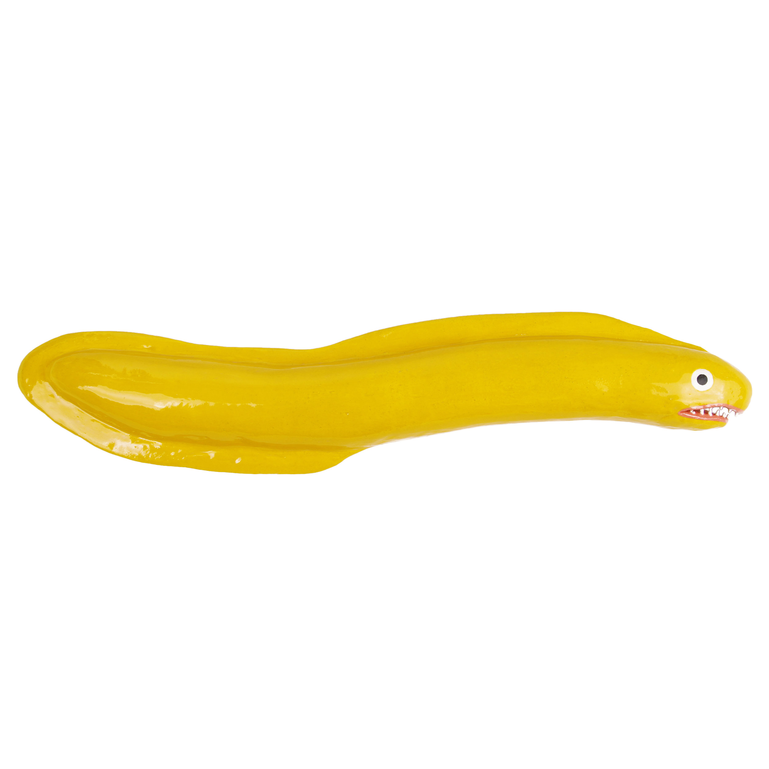 25_Eel.jpg