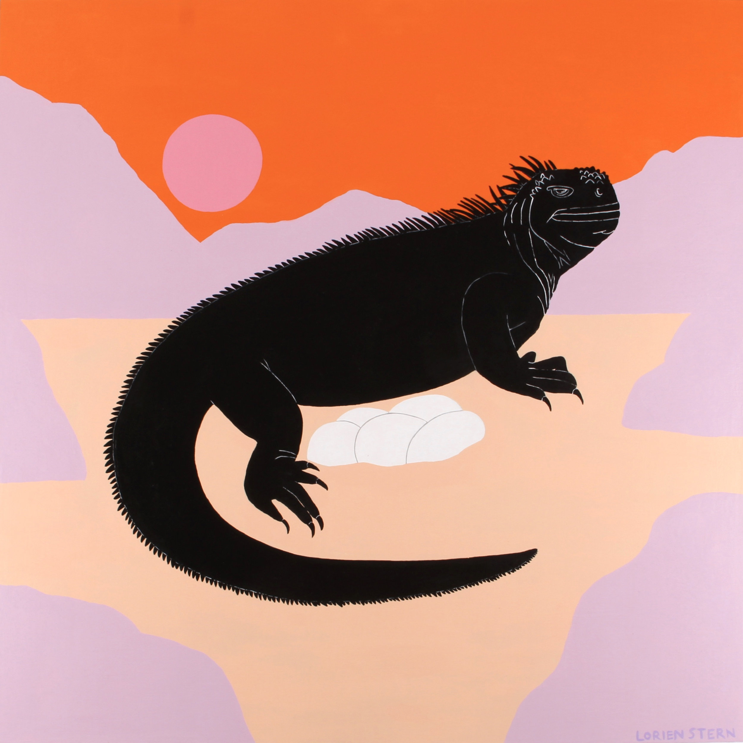 iguana.jpg