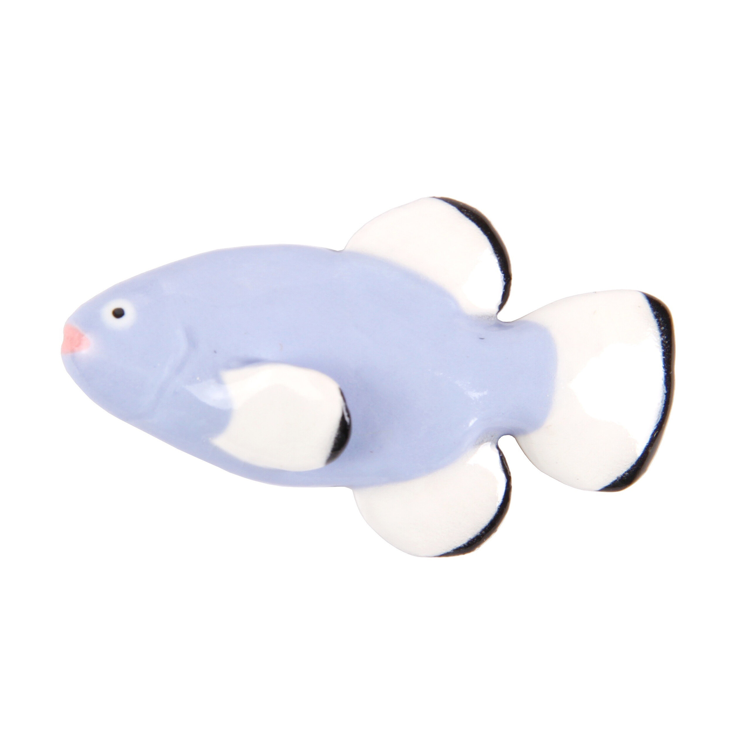 the devis hole pup fish.jpg