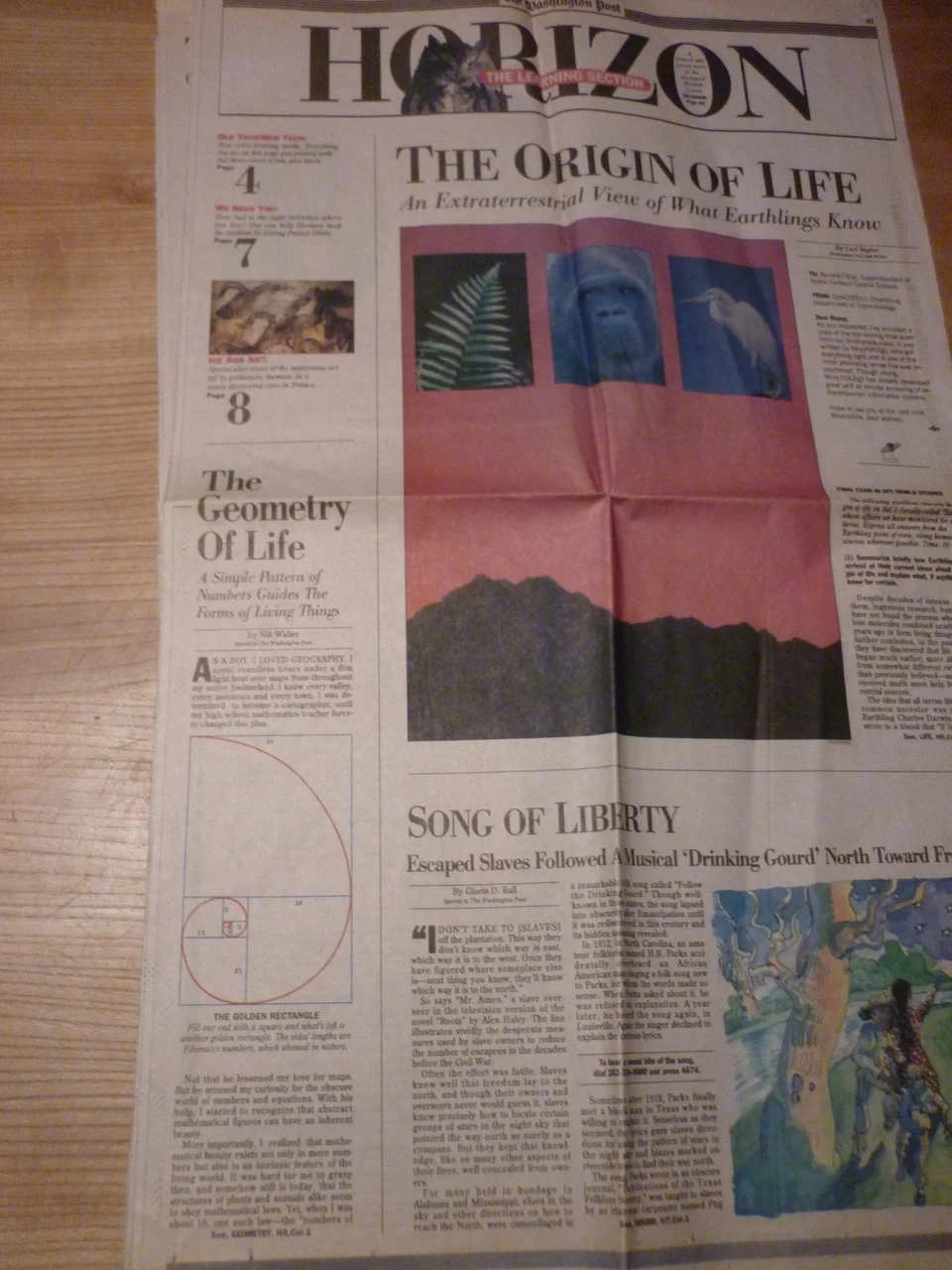 Fibionacci WaPo 1.jpg