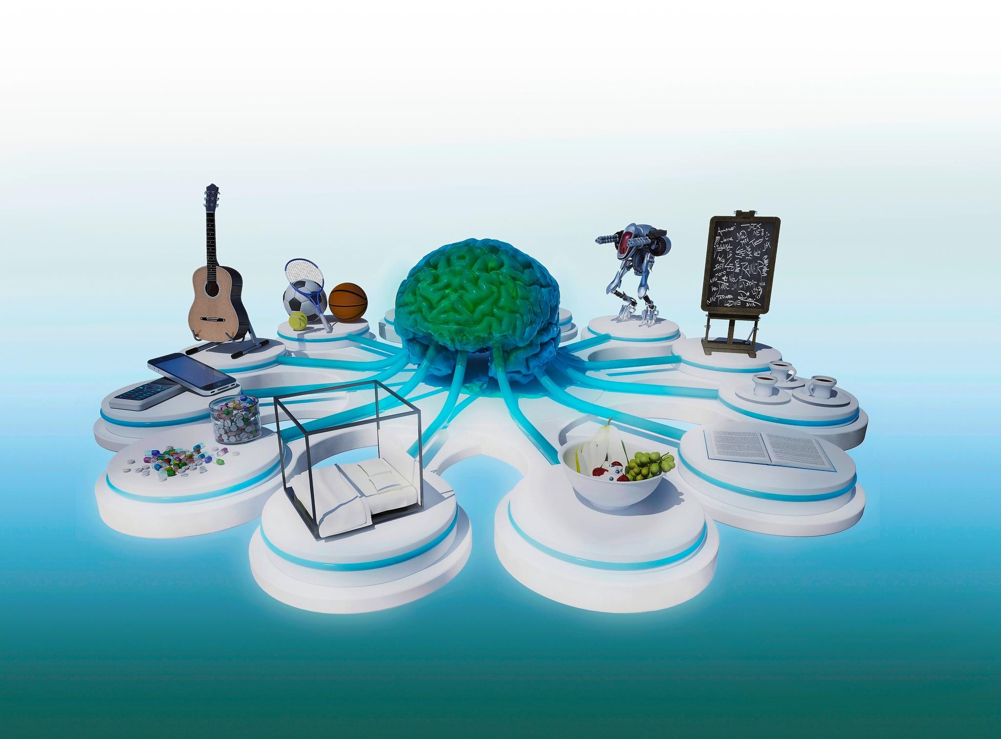 10 Tipps Fur Ein Gesundes Gehirn Nik Walter