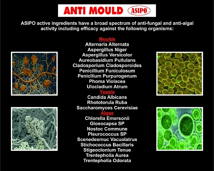 Asipo Protects Against.jpg