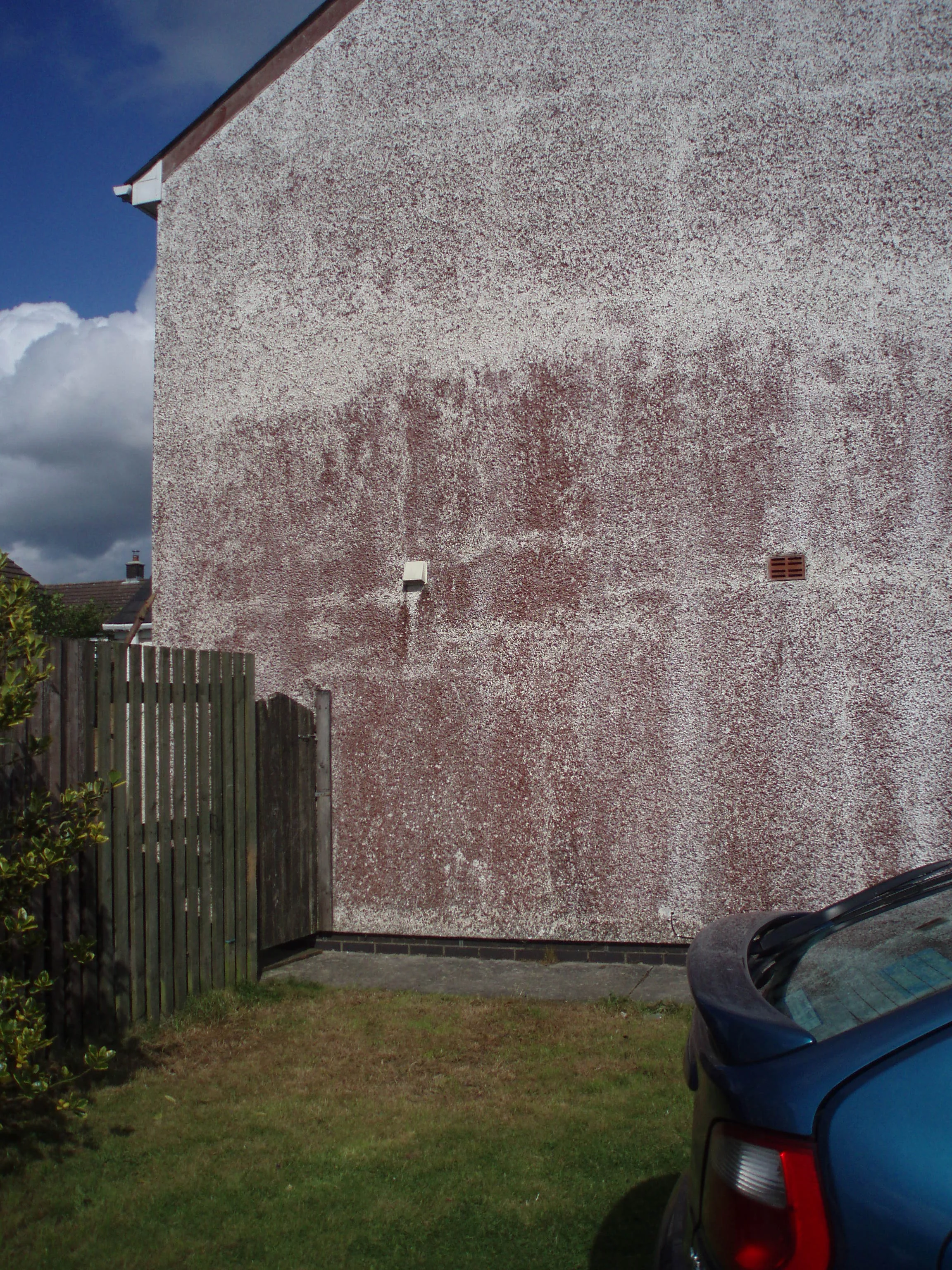 No 25 Maesamlwg (West Pine End).JPG