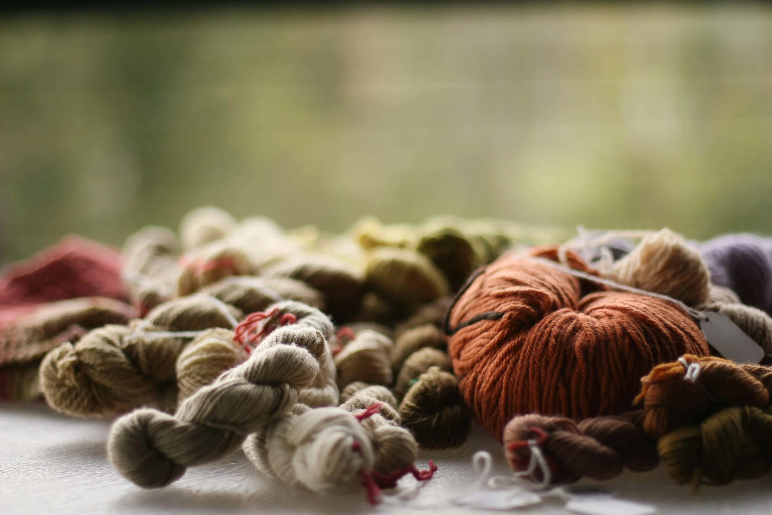 Natural Dyeing with Julia Billings