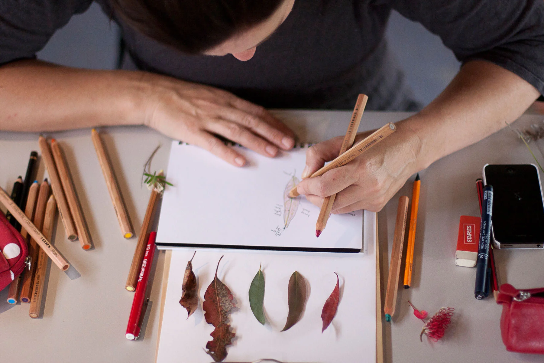 Embroidery From The Natural World with Melissa Wastney