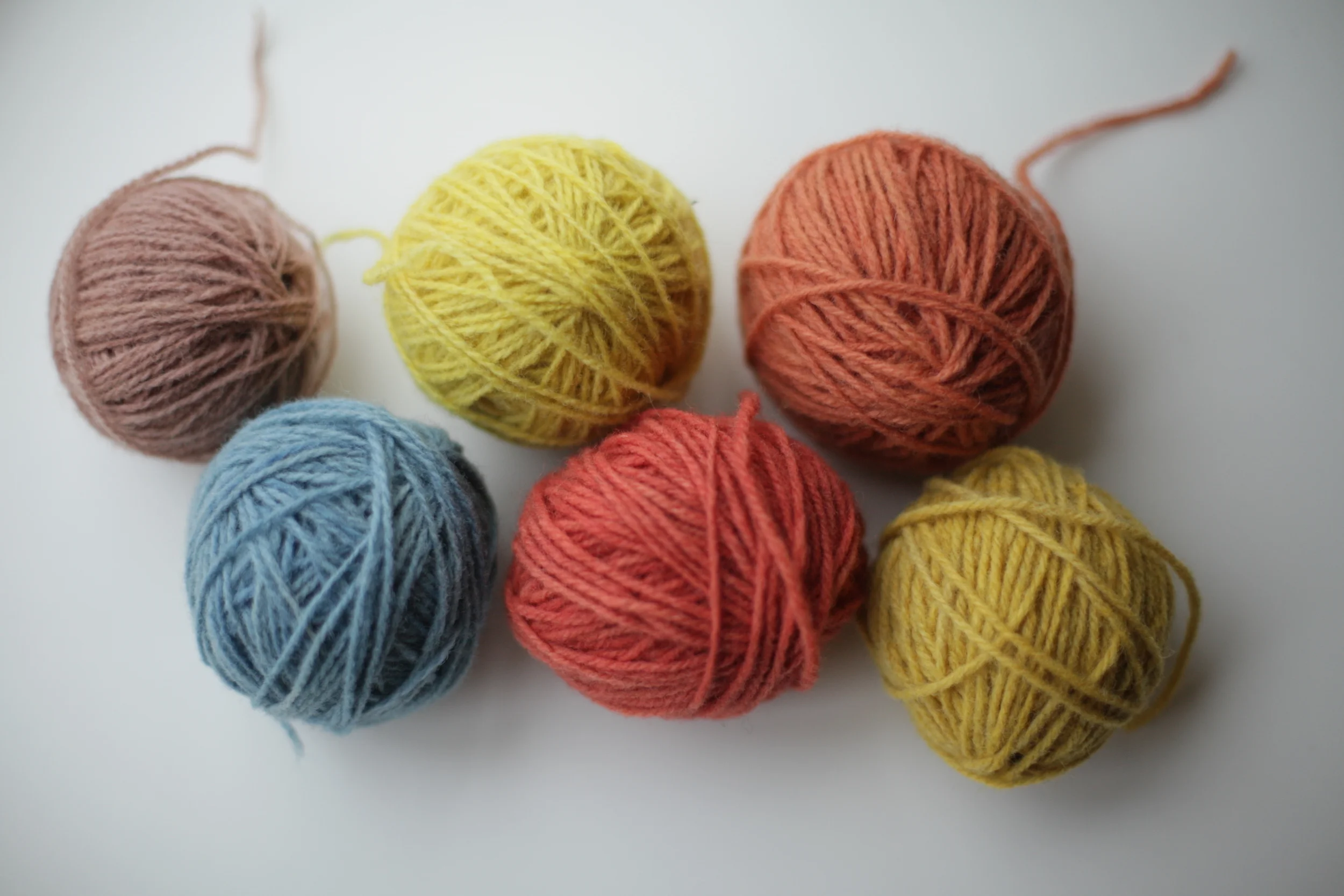Dyed with Goat Willow, Woad, Dyers Camomile, Madder, Madder again and more Dyers Camomile.