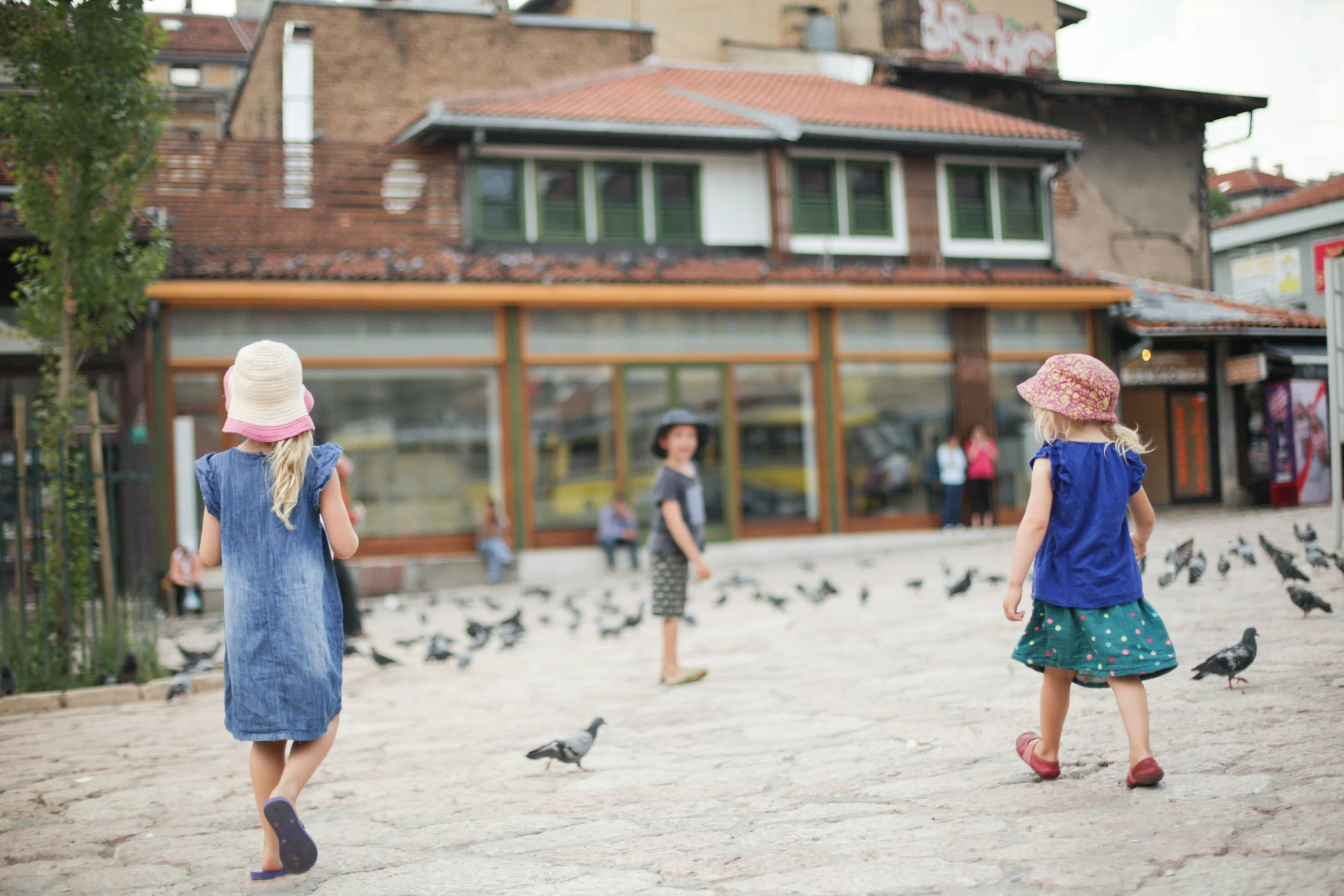 Pigeon heaven.