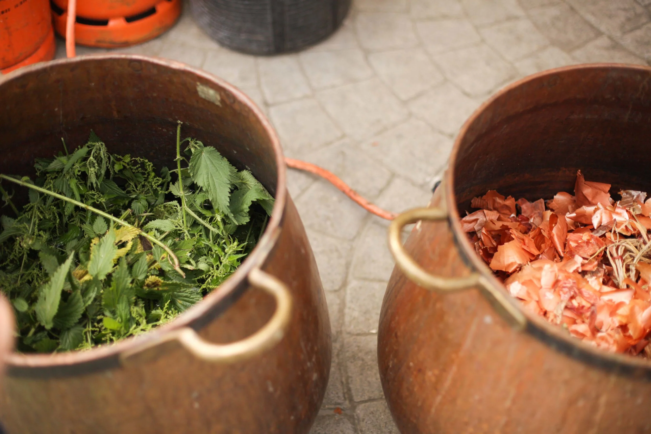 Nettles one side and onions the other.
