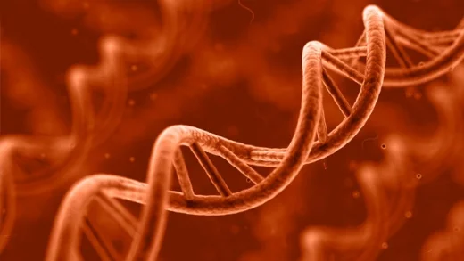 Scientists Finally Show How Your Thoughts Can Cause Specific Molecular Changes To Your Genes “Your subconscious beliefs are working either for you or against you, but the truth is that you are not controlling your life, because your subconscious mind supersedes all conscious control. So when you are trying to heal from a conscious level–citing affirmations and telling yourself you’re healthy–there may be an invisible subconscious program that’s sabotaging you.” To read the full article, click on the picture.