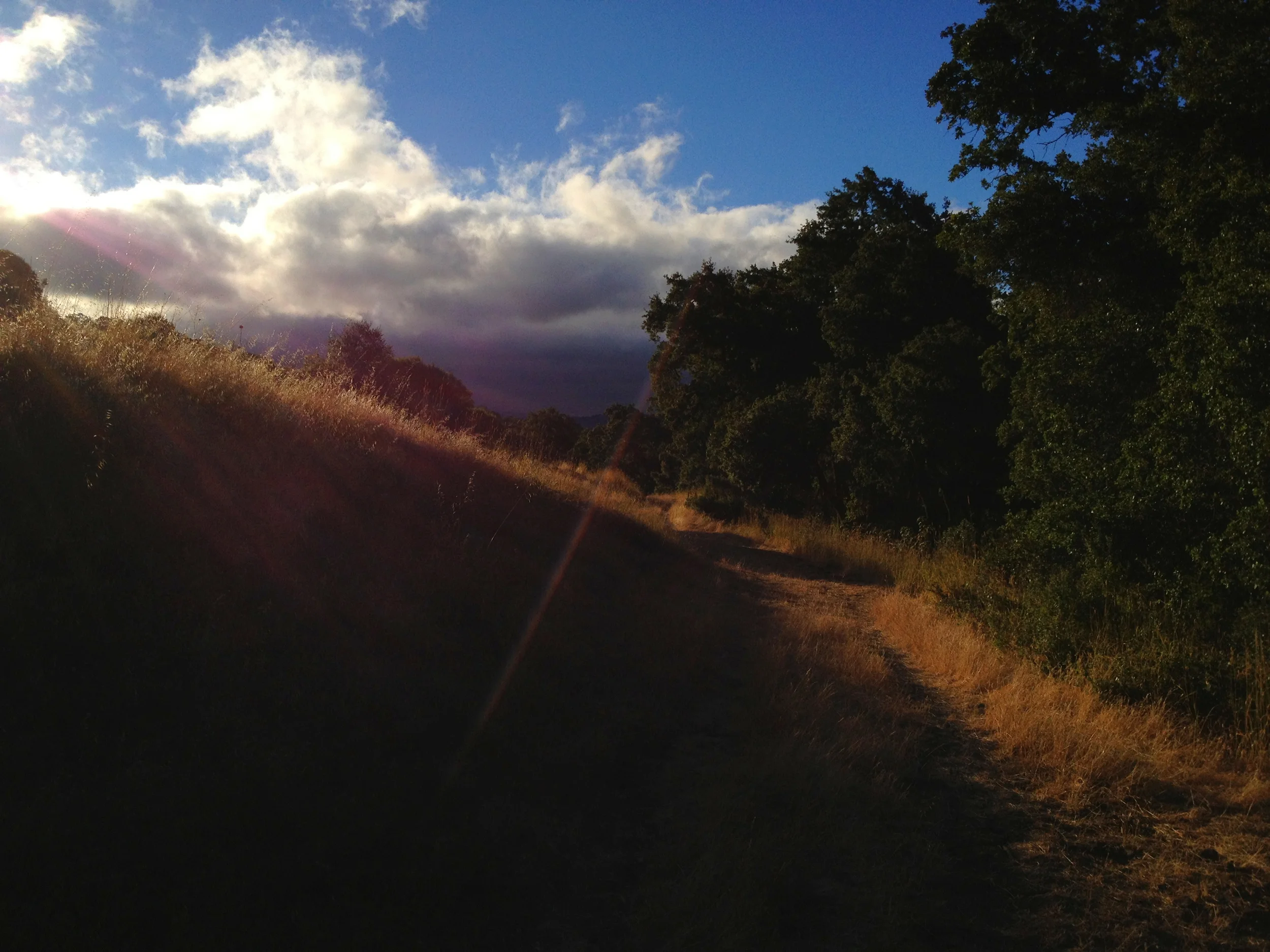 A Path in the Shadows.