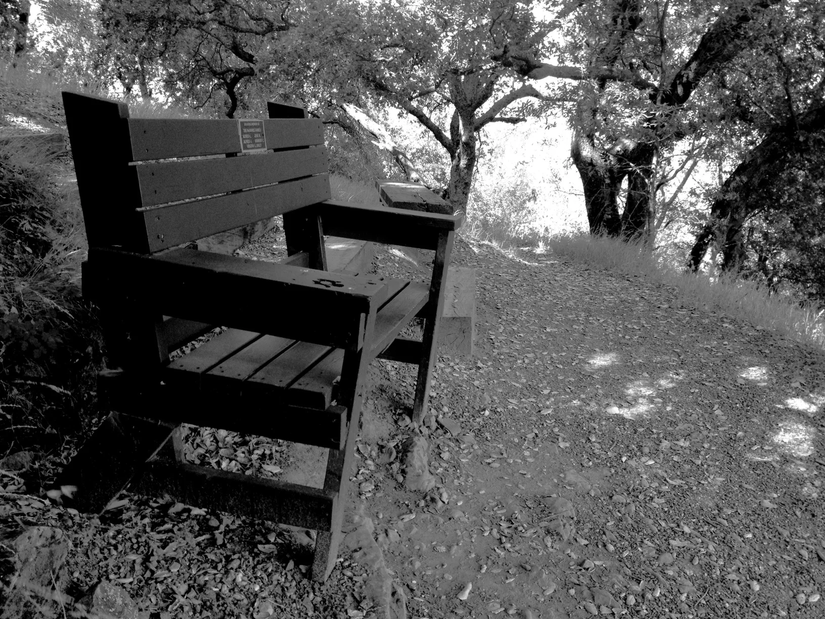 An empty place next to me.jpeg