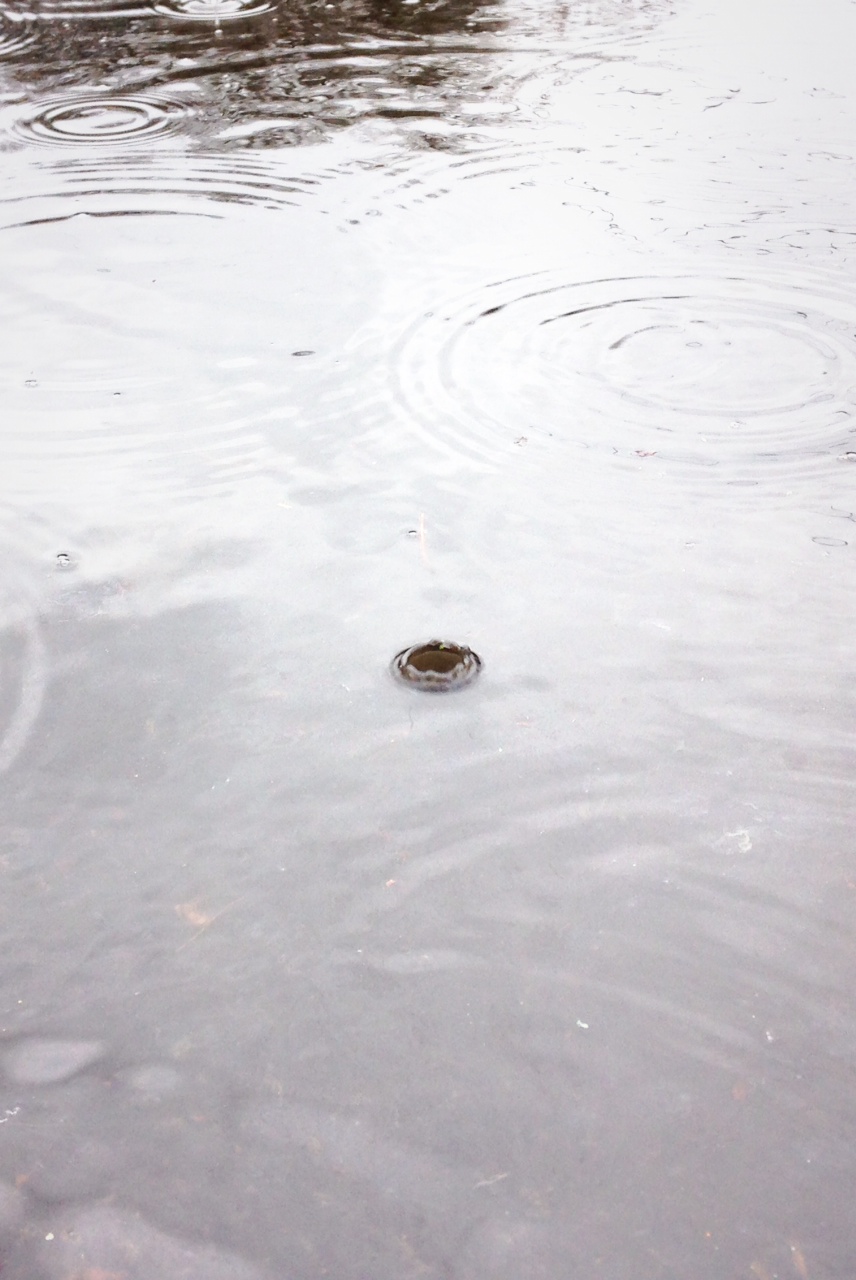 Drop in the Water.jpeg