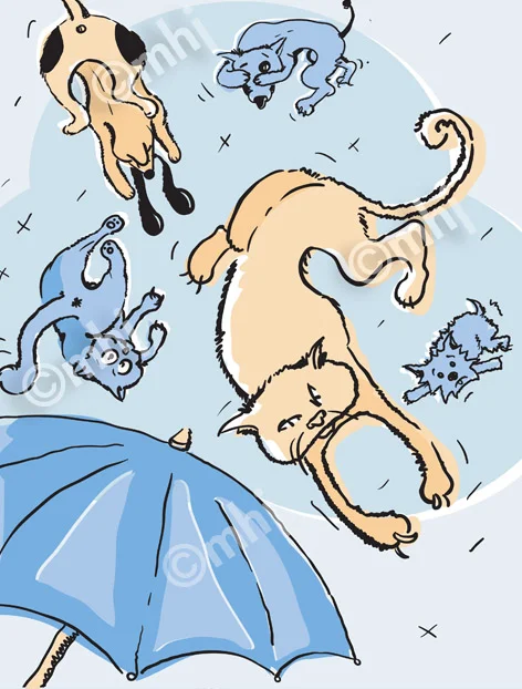 Raining Cats and Dogs Cartoon