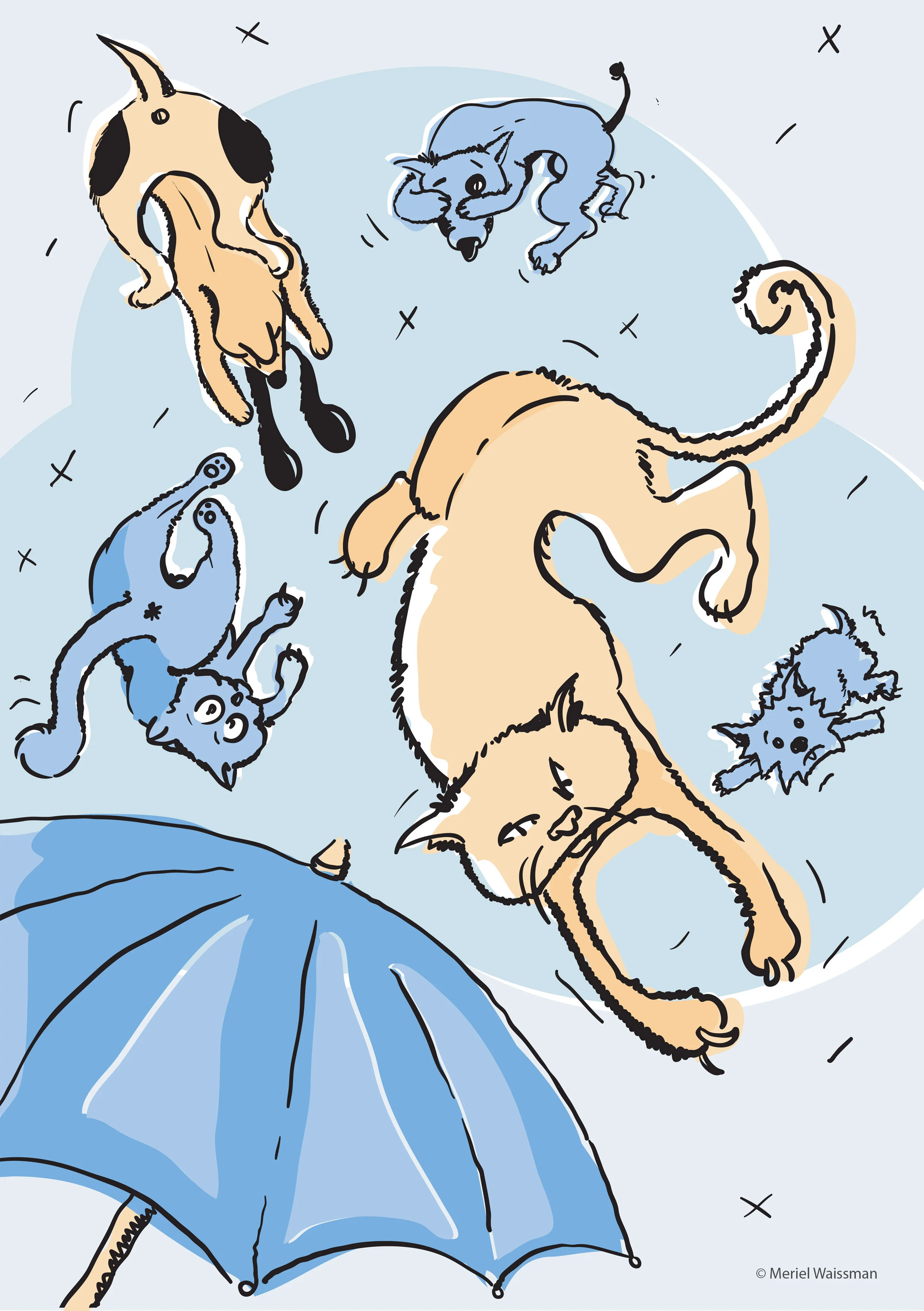 Raining Cats and Dogs