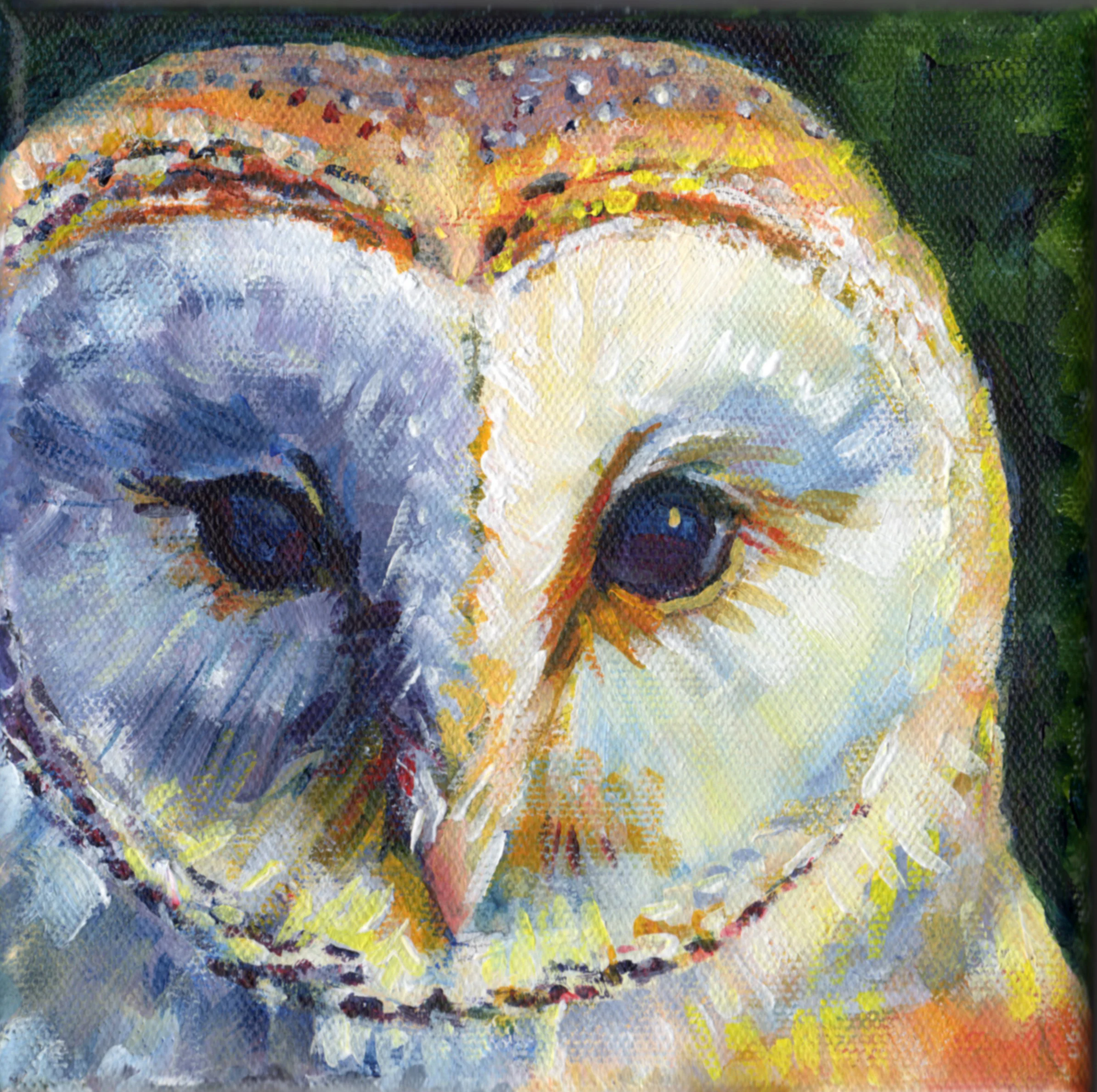 “Barn Owl” Animal Portrait