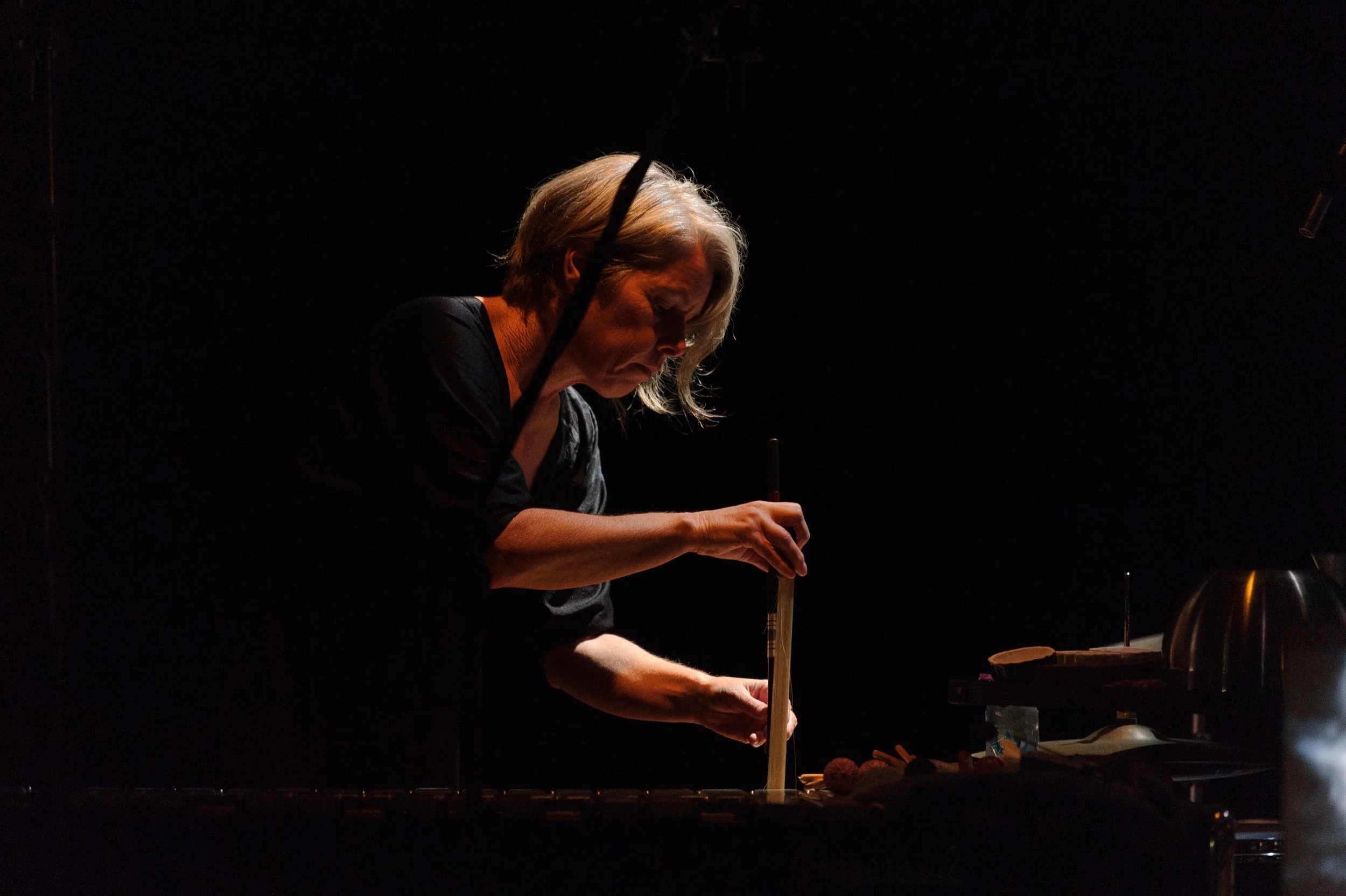 AAO_1988_photo Sarah Walker-1141.jpg