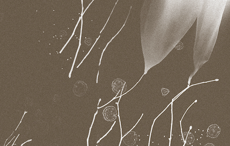 Screenshot 2025-12-02 at 11.49.12 am.png