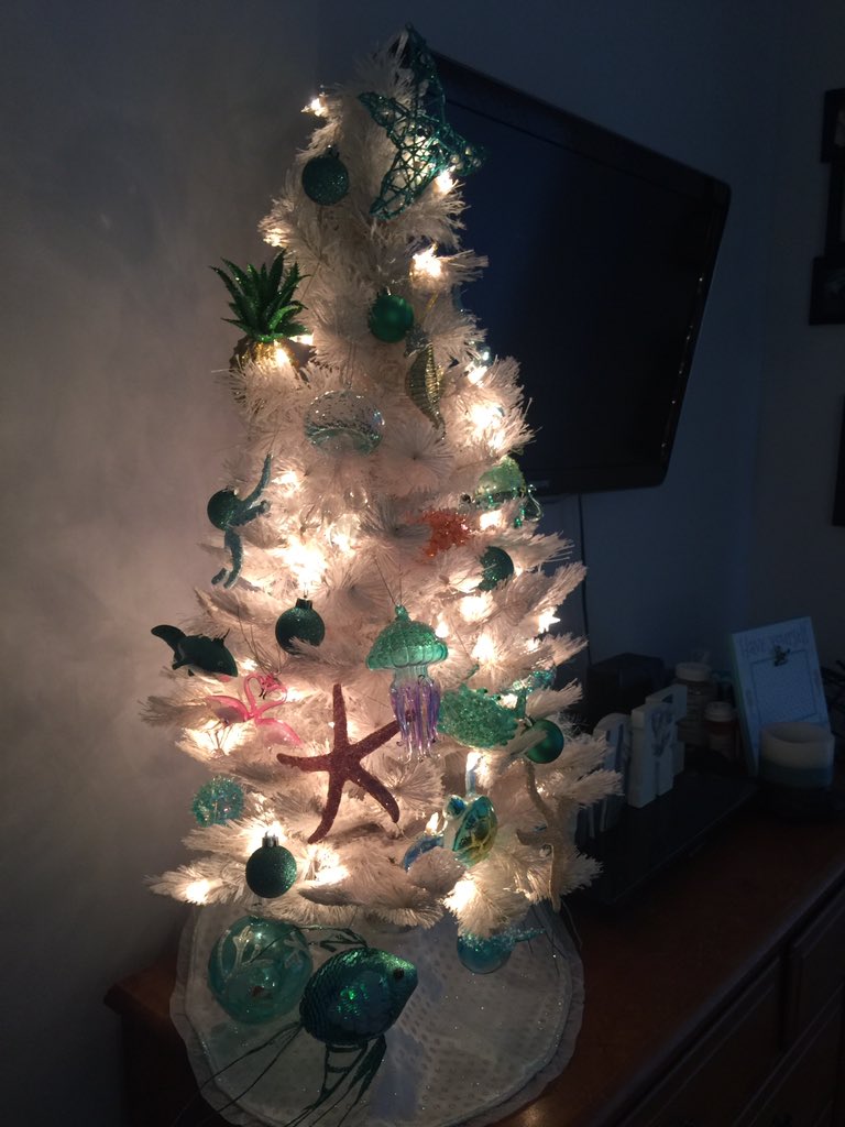 Literally Paul's Christmas tree