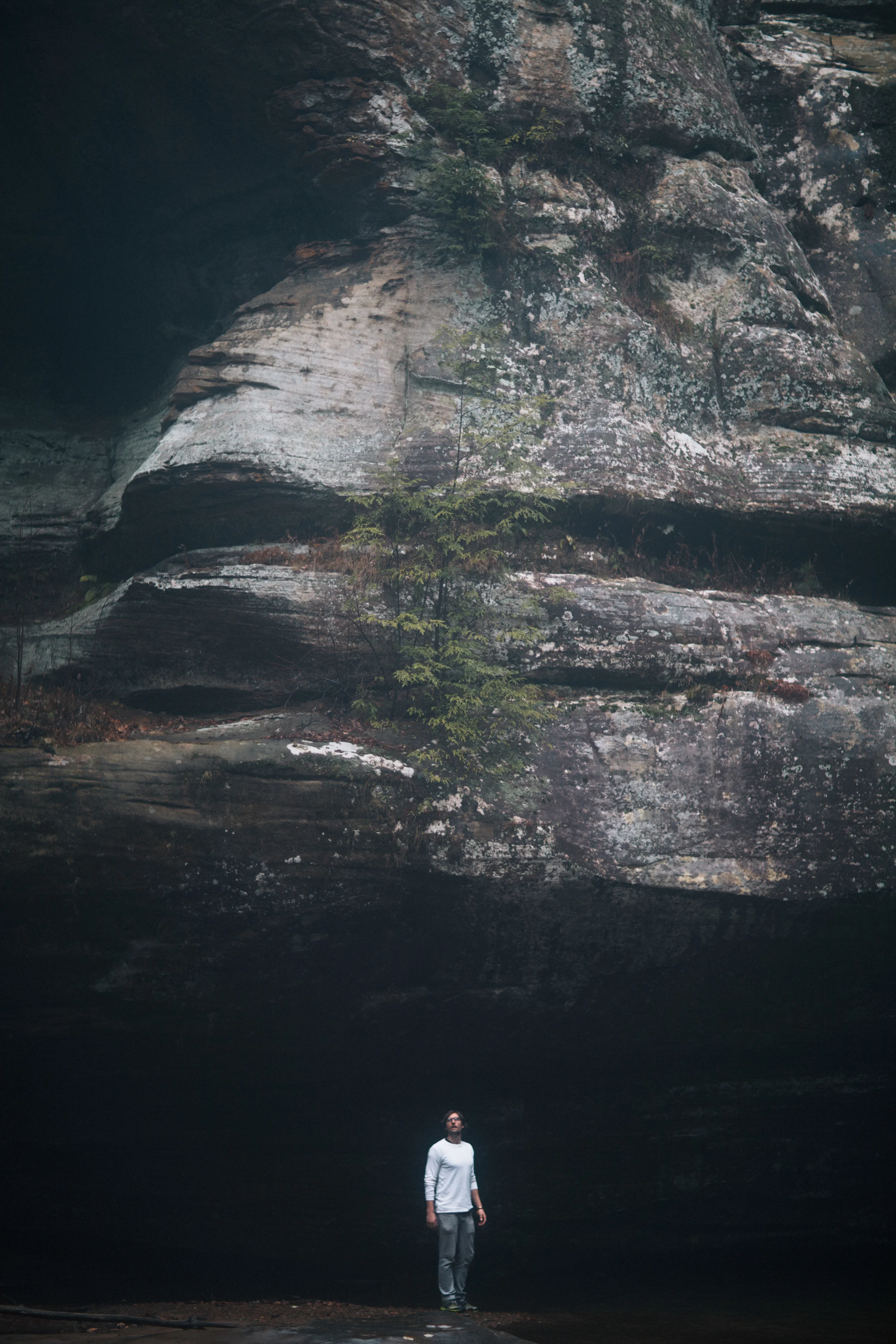 nicolejarock-10.jpg