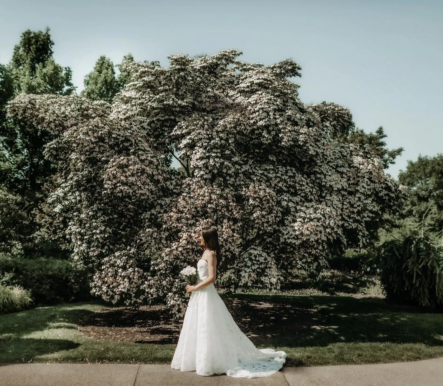 sweet mary 🕊️ @marydimaio @phippsevents