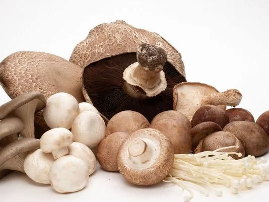 mushrooms.jpg