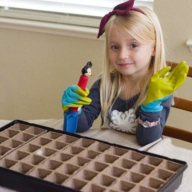 Want to help cultivate your child's green thumb? 
You can get them to start seeds indoors for their own garden. https://www.momtastic.com/home/gardening/400671-giving-kids-a-green-thumb-starting-the-seeds-indoors/
#children #youth #families #gardenin