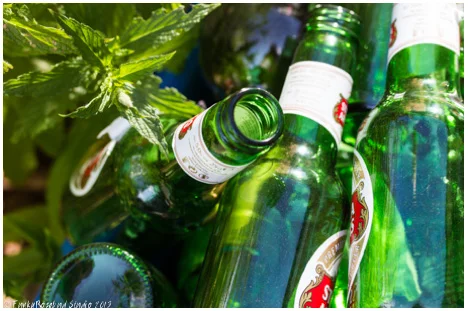 bottle mint.jpg