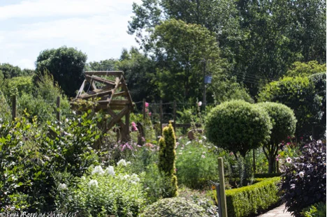 milbank front garden.jpg