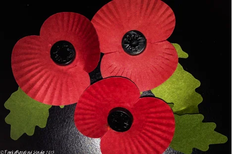 november poppies.jpg