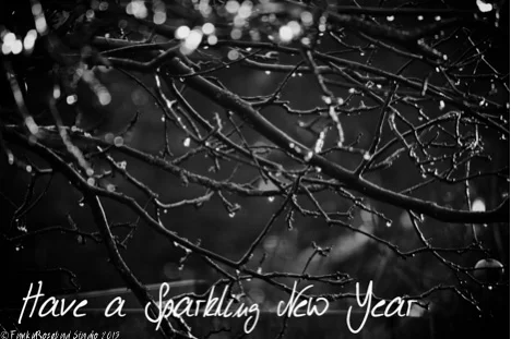 new year sparkle.jpg
