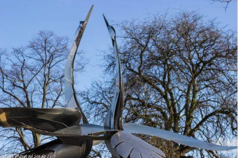 srtatford swans.jpg