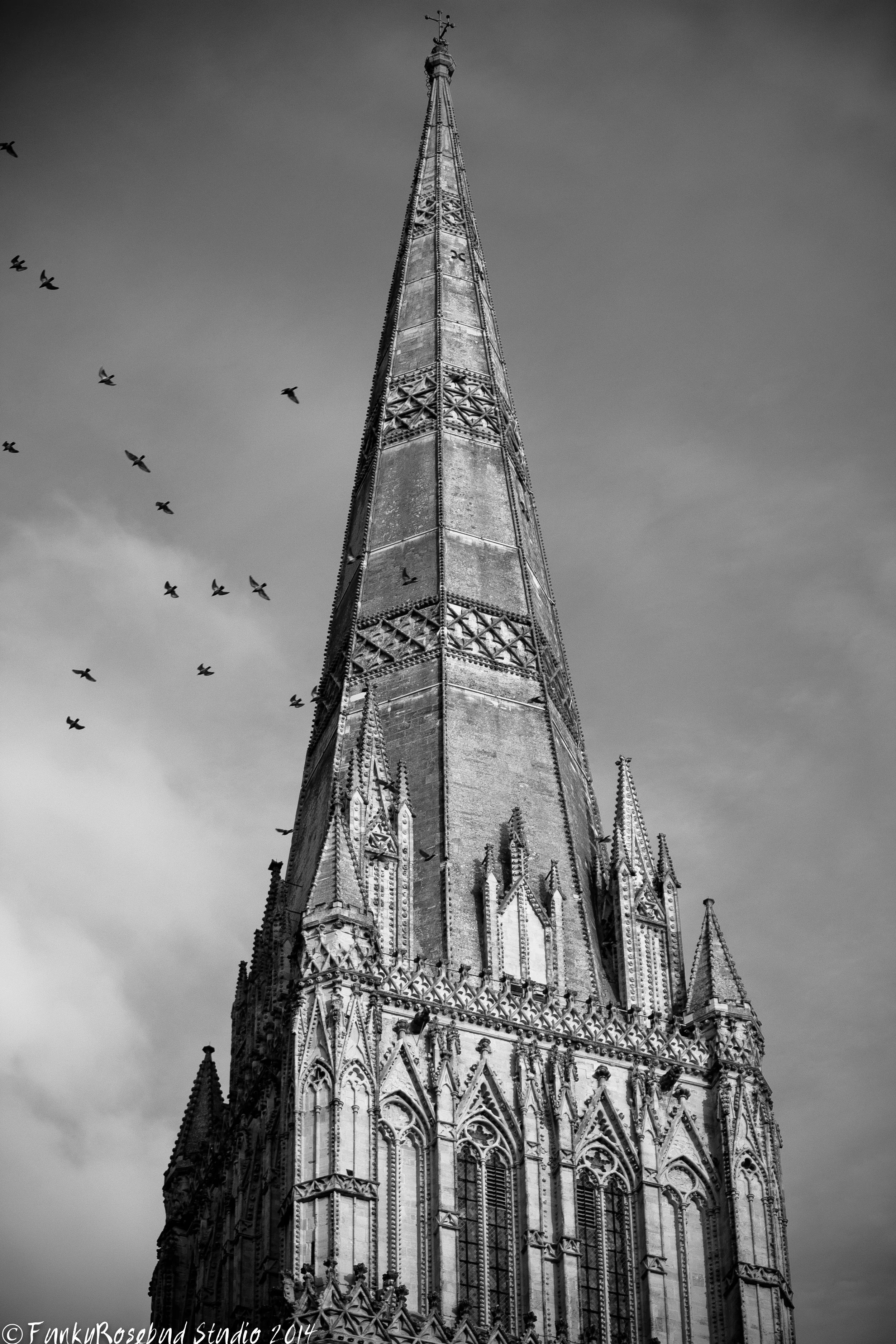 Salisbury Cathedral Spire