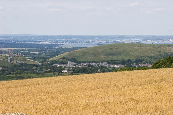 castle view.jpg
