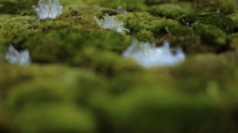 giphy (3).gif