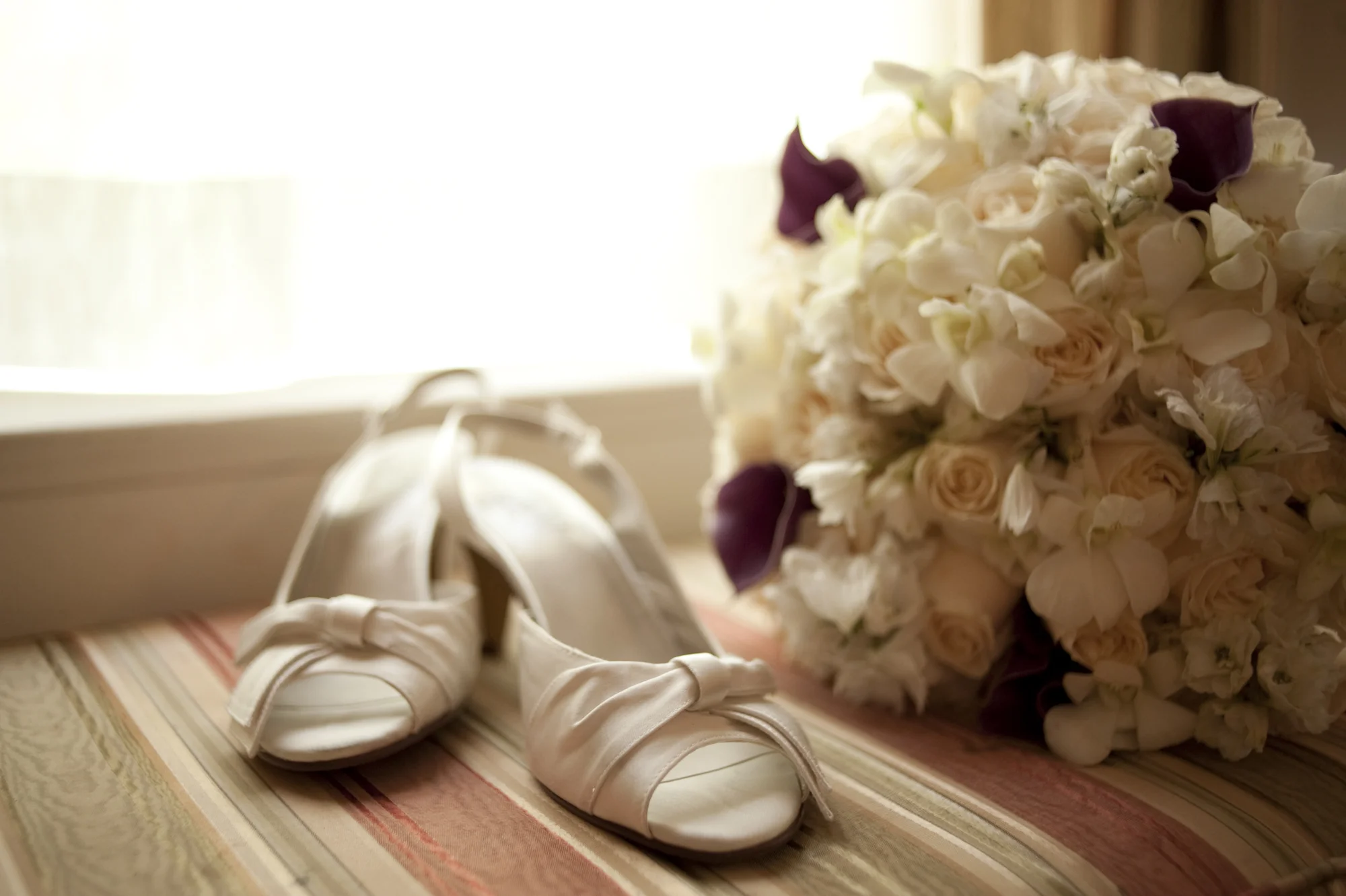 John_Saponara_Photo_201.jpg