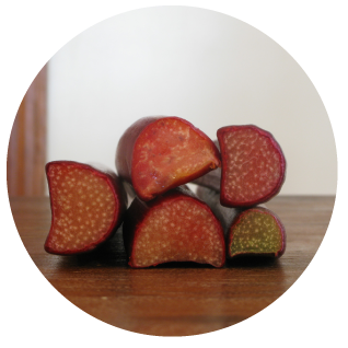rhubarb.png