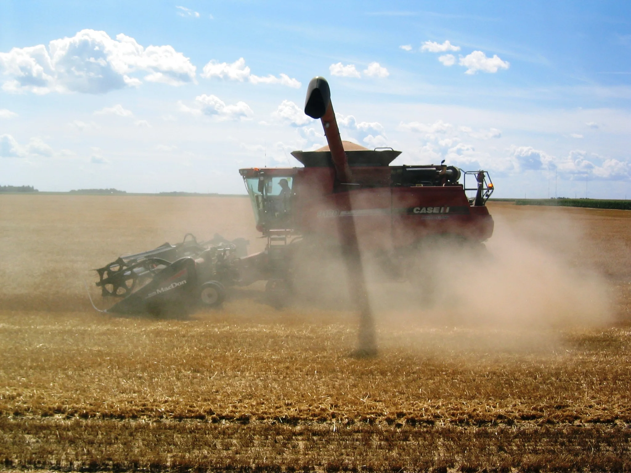 zimharvest_web.jpg