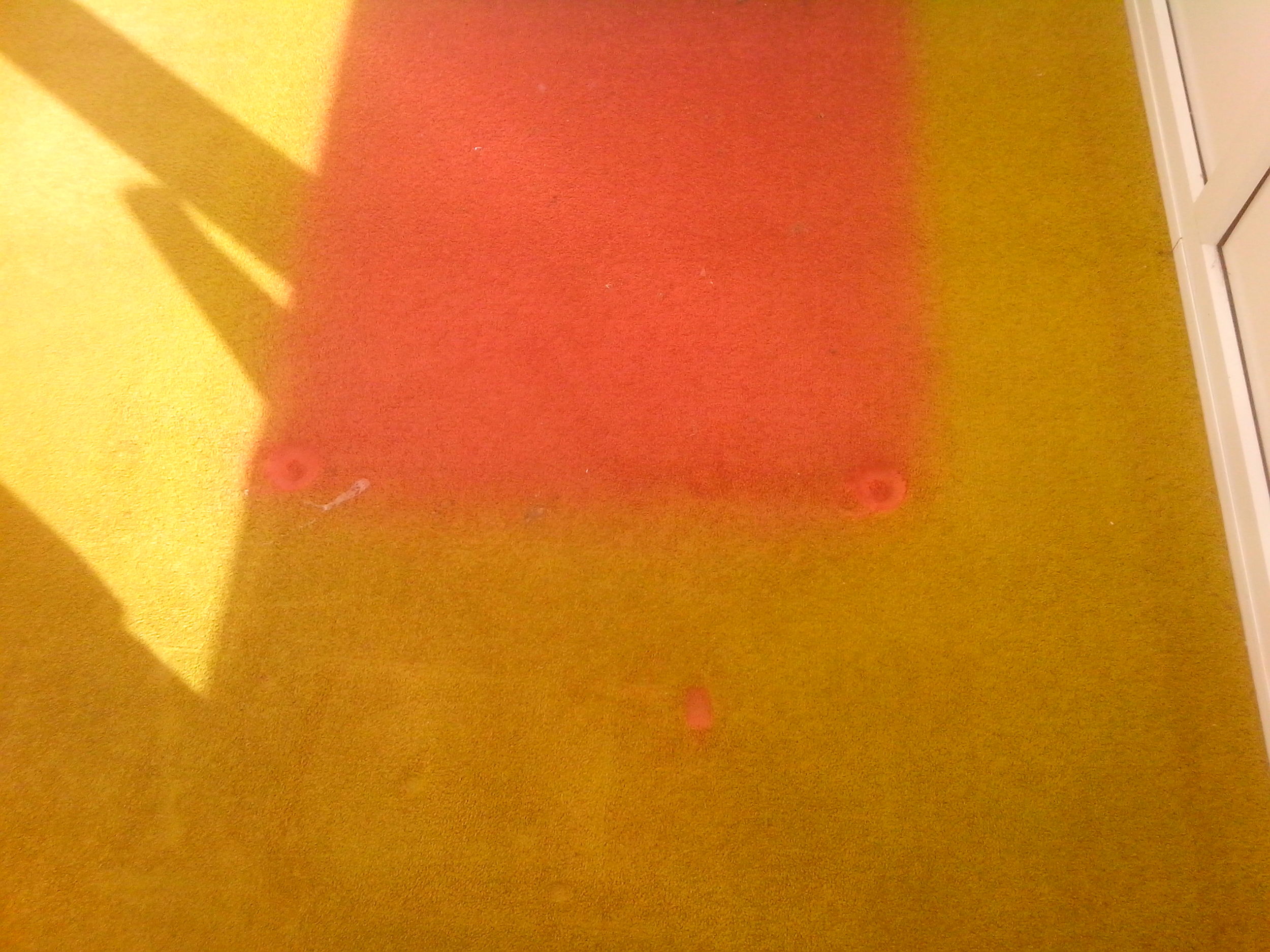 Faded carpet after only 4 years.