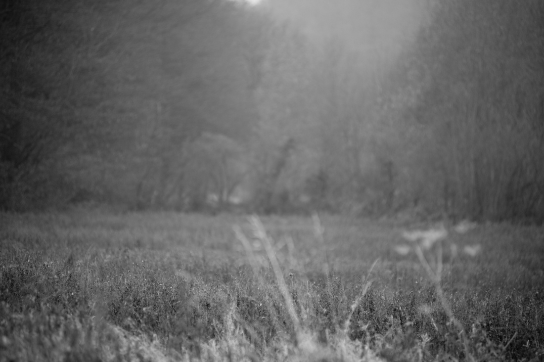 The foggy battlefield. The Nikon 2.8 80-200 might be outdated, but delivers a very soft and buttery bokeh.