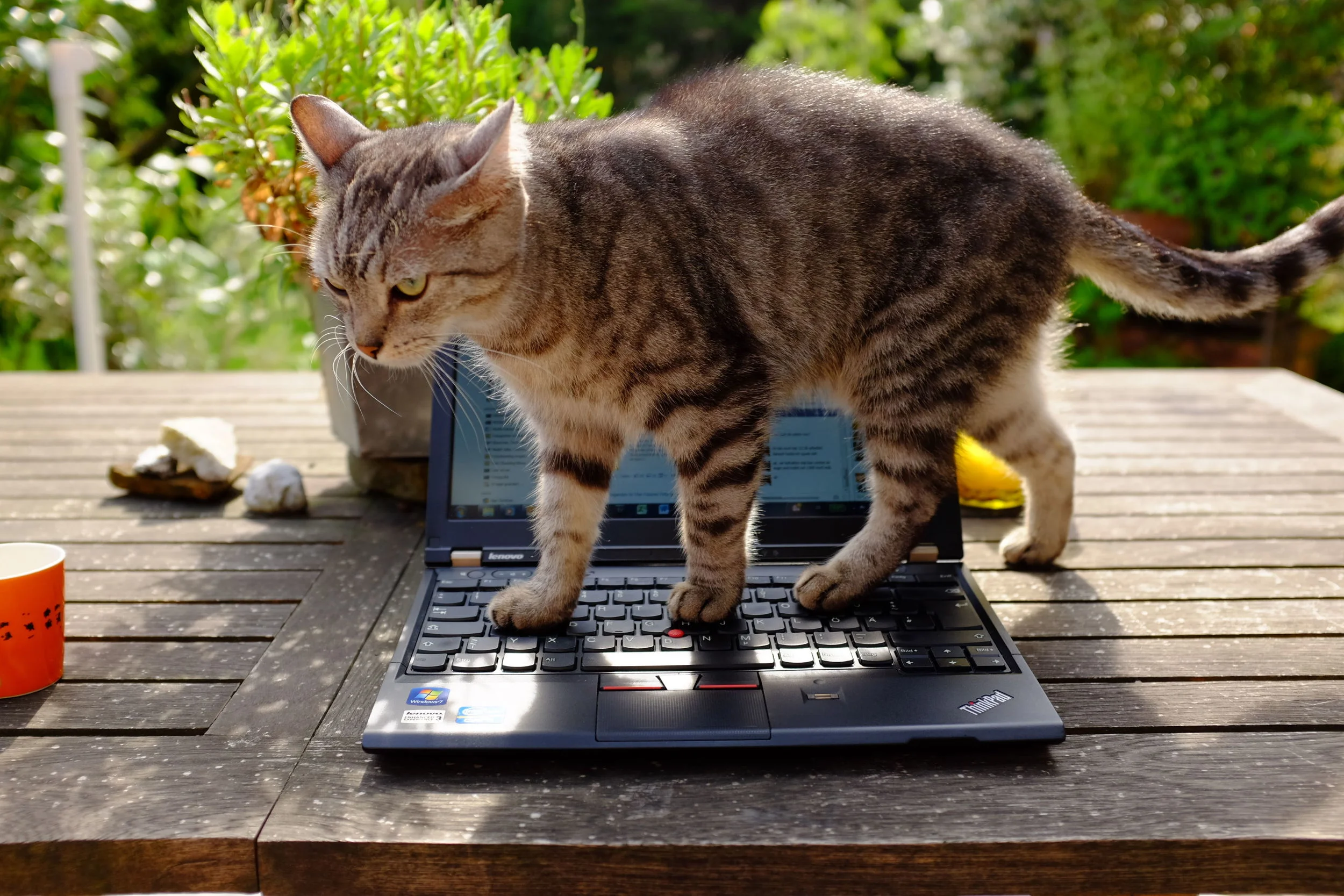 ... und das Knurps entwickelte sich zu einer echten Hilfe im Arbeitsalltaggglerjidsir!!"3832ß???.