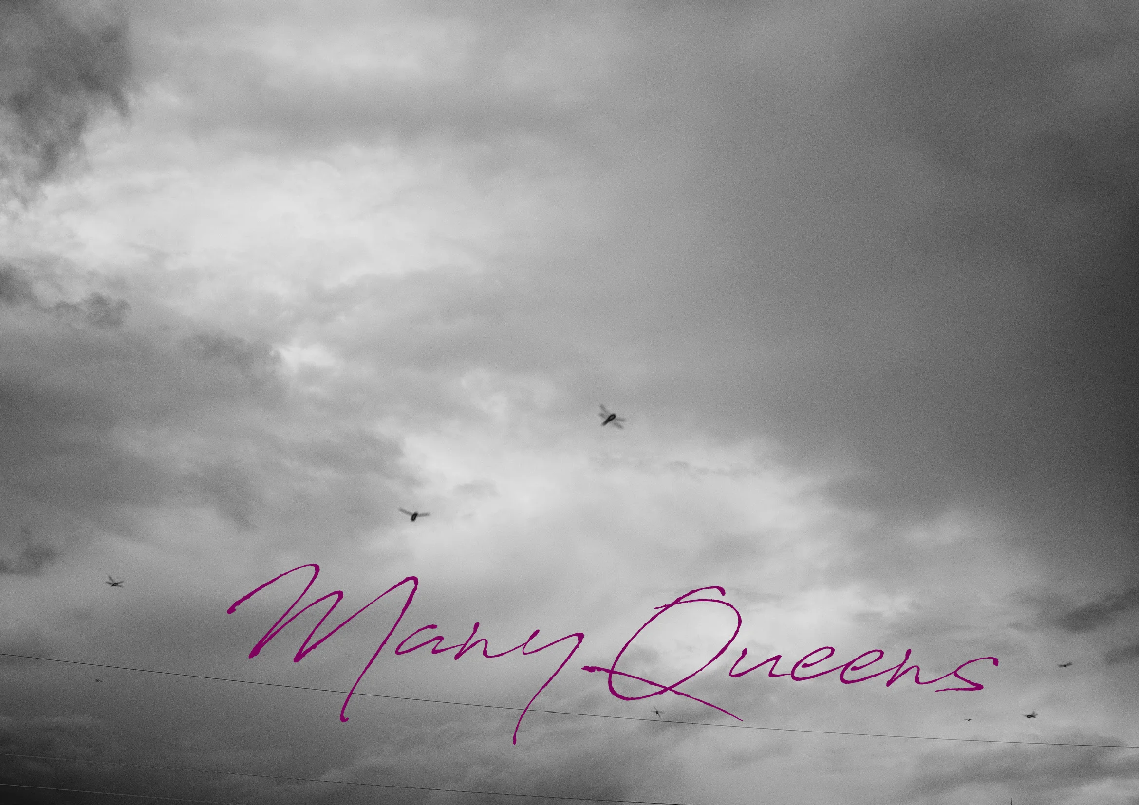 Many Queens.jpg